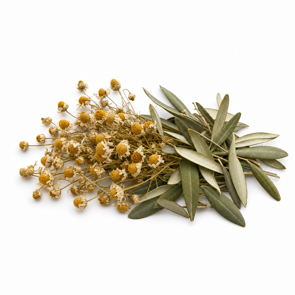 Olive leaves and chamomile botanicals for the Olive Leaf & Chamomile Ritual Blend