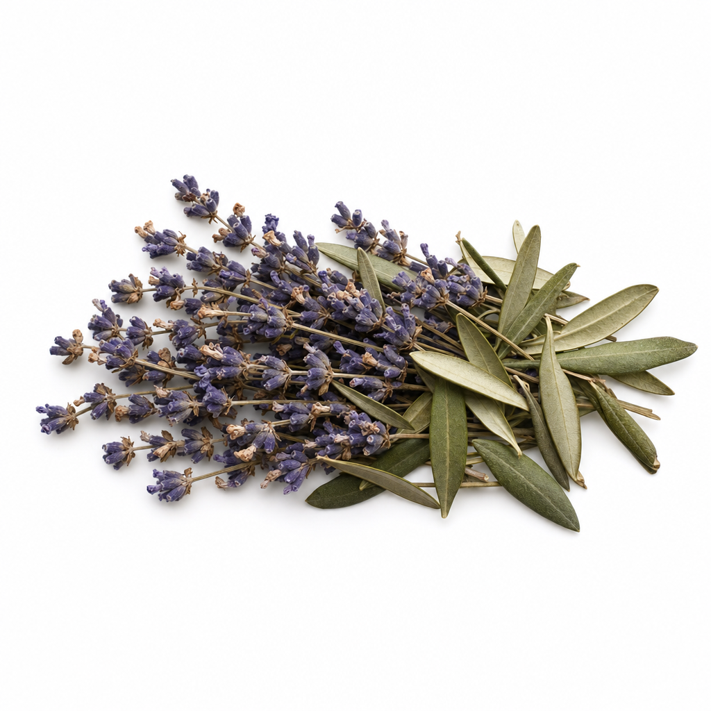 Olive leaves and lavender botanicals for the Olive Leaf & Lavender Ritual Blend